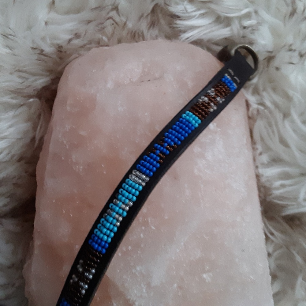 Beautiful Beaded Dog Collar